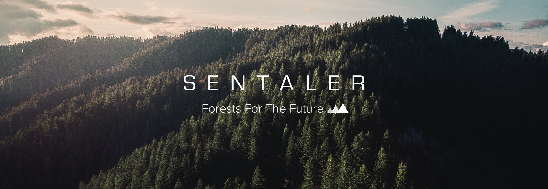 Image overlooking a mountain full of green trees with the SENTALER Forests for the Future logo over top.