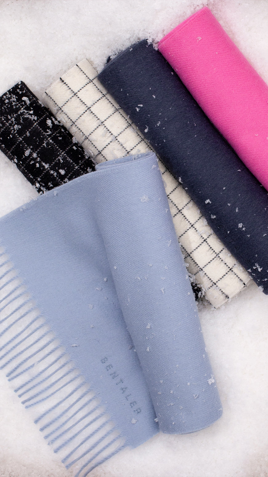 Sentaler Baby Alpaca Classic Scarves rolled in snow. Seen in Cosmetic Pink, Graphite, Ivory Check, Black Check and Powder Blue.